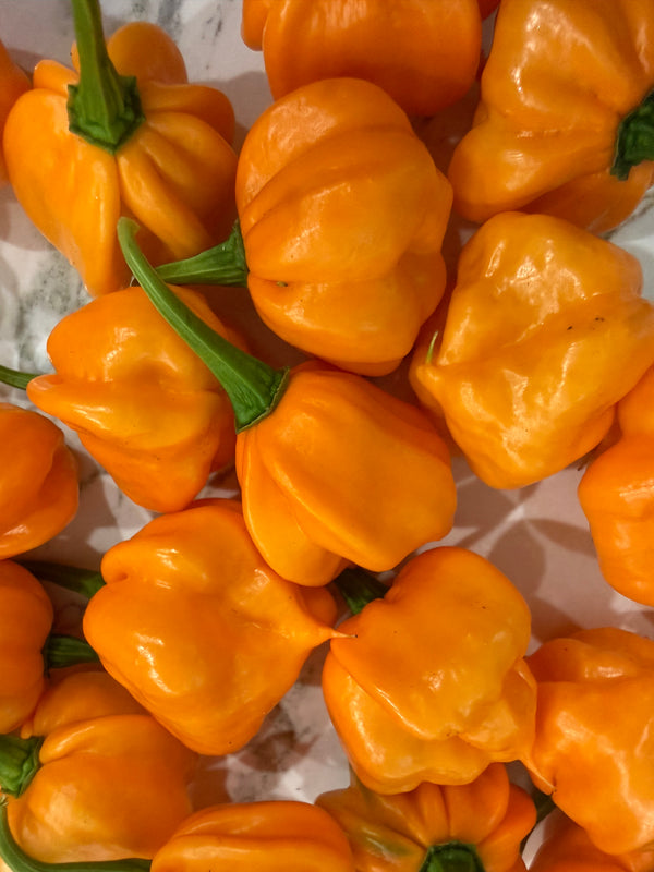 Pineapple Scotch Bonnett Chili Jam